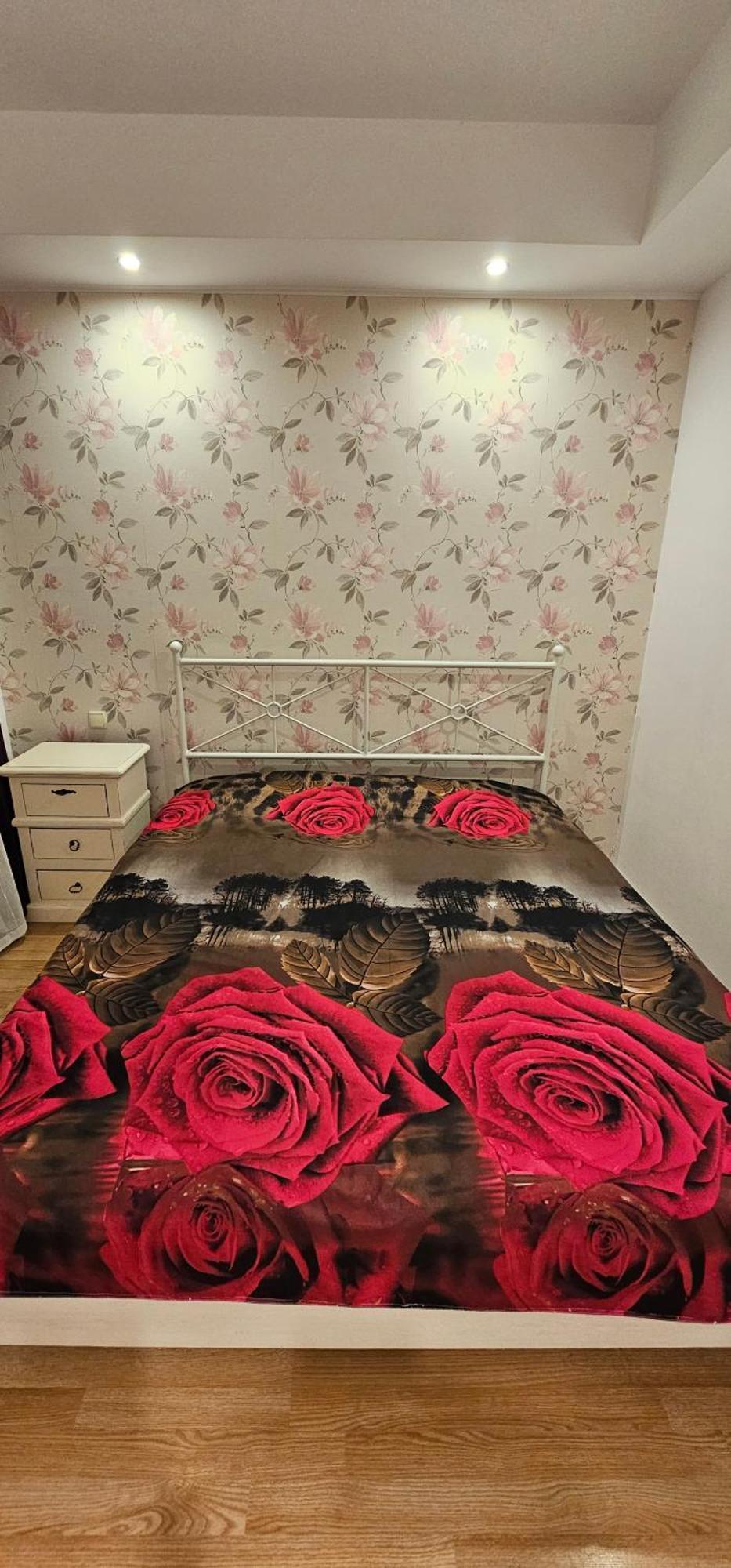 Homey 2 Cosmopolis Stefanestii de Jos Dış mekan fotoğraf